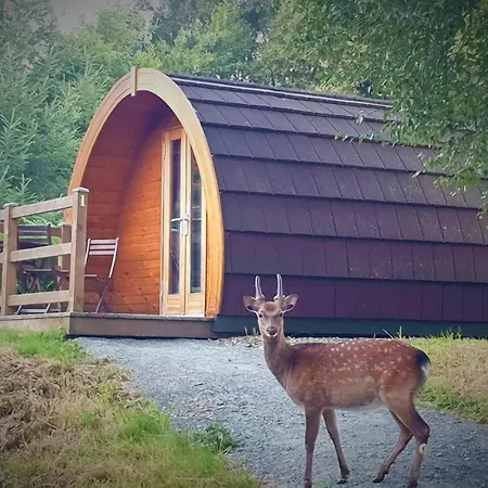 Glendalough Glamping - Adults Only Laragh