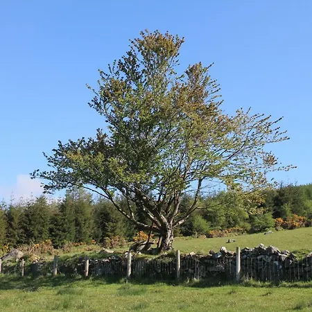 Glendalough Glamping - Adults Only אתר קמפינג