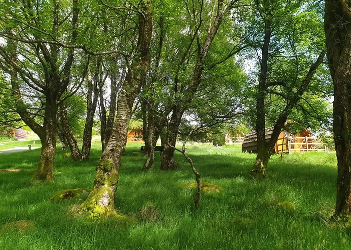 Glendalough Glamping - Adults Only キャンプ場 *