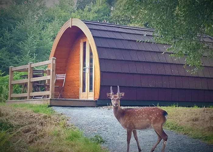 Glendalough Glamping - Adults Only Laragh