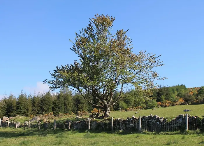 Glendalough Glamping - Adults Only キャンプ場